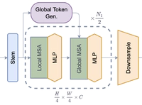 Global context vision transformers